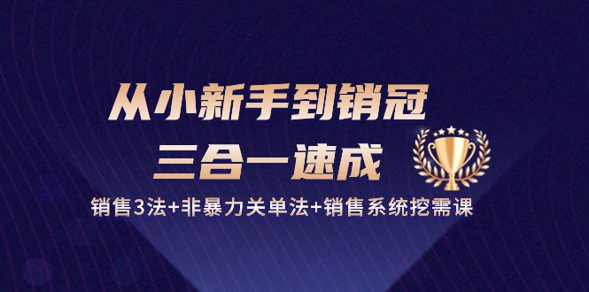 从小新手到销冠三合一速成：销售3法+非暴力关单法+销售系统挖需课 (27节)-七量思维