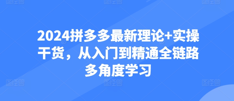 2024拼多多最新理论+实操干货，从入门到精通全链路多角度学习-七量思维