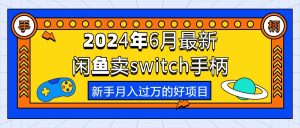 （10831期）2024年6月最新闲鱼卖switch游戏手柄，新手月入过万的第一个好项目-七量思维