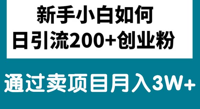 （10843期）新手小白日引流200+创业粉,通过卖项目月入3W+-七量思维