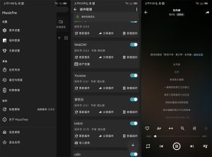 安卓MusicFree音乐播放器v0.3.0-七量思维