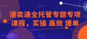 速卖通全托管专题专项课程，实操 高效 爆单-七量思维