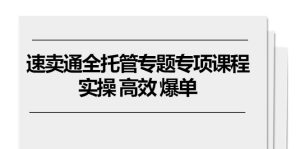 （10917期）速卖通 全托管专题专项课程，实操 高效 爆单（11节课）-七量思维