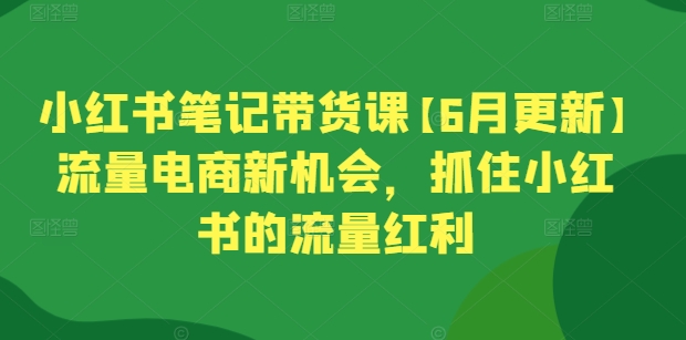 小红书笔记带货课【6月更新】流量电商新机会，抓住小红书的流量红利-七量思维