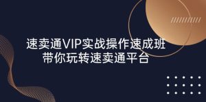 （10935期）速卖通 VIP实战操作-速成班，带你玩转速卖通平台（23节）-七量思维