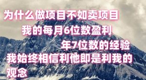做项目不如卖项目,每月6位数盈利,年7位数经验-七量思维