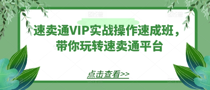 速卖通VIP实战操作速成班，带你玩转速卖通平台-七量思维