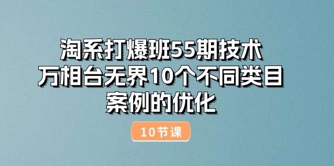 （10996期）淘系打爆班55期技术：万相台无界10个不同类目案例的优化（10节）-七量思维