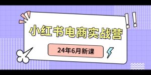 小红书电商实战营:小红书笔记带货和无人直播,24年6月新课-七量思维
