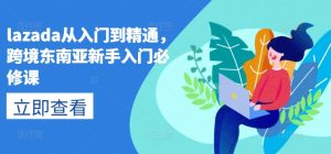 lazada从入门到精通,跨境东南亚新手入门必修课-七量思维