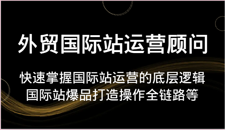 外贸国际站运营顾问-快速掌握国际站运营的底层逻辑，国际站爆品打造操作全链路等-七量思维