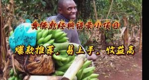 (11030期)奥德彪经典语录小项目,爆款推荐,易上手,收益高-七量思维