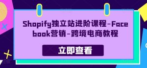 Shopify独立站进阶课程-Facebook营销-跨境电商教程-七量思维