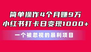 (11048期)简单操作4个月赚9万!小红书打卡日变现1000+!一个被忽视的暴力项目-七量思维