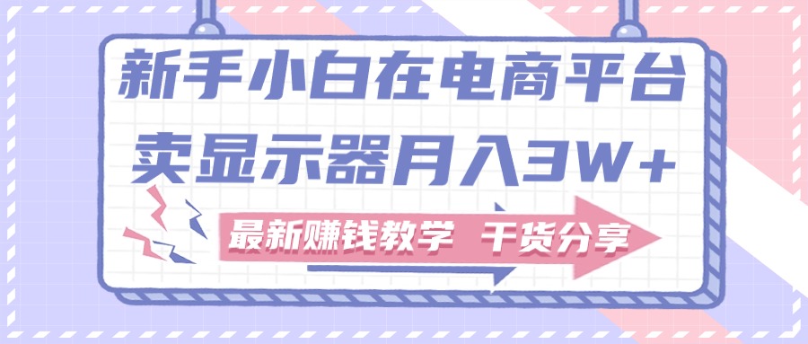 （11053期）新手小白如何做到在电商平台卖显示器月入3W+，最新赚钱教学干货分享-七量思维