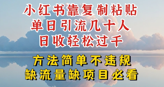 小红书靠复制粘贴单日引流几十人目收轻松过千，方法简单不违规-七量思维