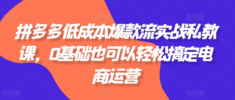 拼多多低成本爆款流实战私教课，0基础也可以轻松搞定电商运营-七量思维