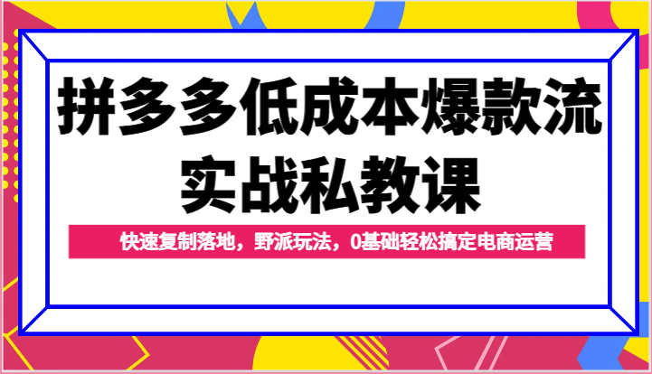 拼多多低成本爆款流实战私教课，快速复制落地，野派玩法，0基础轻松搞定电商运营-七量思维