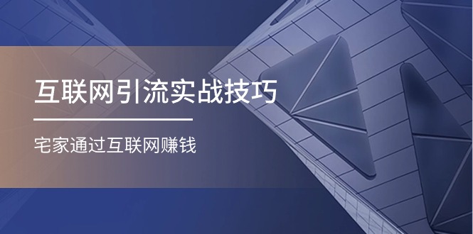 （11108期）互联网引流实操技巧(适合微商，吸引宝妈)，宅家通过互联网赚钱（17节）-七量思维
