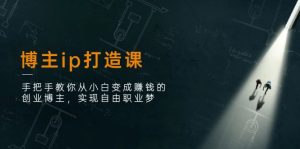 (11109期)博主ip打造课:手把手教你从小白变成赚钱的创业博主,实现自由职业梦-七量思维