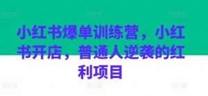 小红书爆单训练营,小红书开店,普通人逆袭的红利项目-七量思维