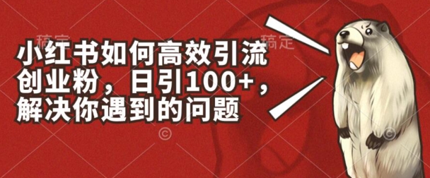 小红书如何高效引流创业粉，日引100+，解决你遇到的问题-七量思维