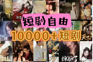 打造完全属于自己的个人短剧库,实现网盘拉新与私域变现的完美融合!-七量思维