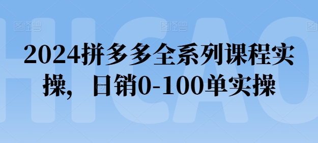 2024拼多多全系列课程实操，日销0-100单实操【必看】-七量思维