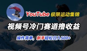 视频号冷门赛道撸收益，YouTube搬运极限运动集锦，暴力起号，操作简单流量高，轻松日入5张-七量思维