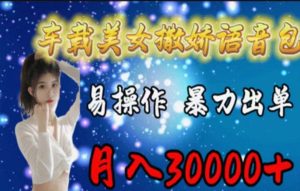 (11249期)车载美女撒娇语音包,执行就出单,月入3000+,小白看完课程就能马上实操-七量思维