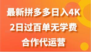 最新拼多多,日入4K+,2日过百单无学费,合作代运营-七量思维