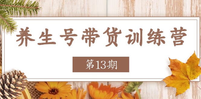 （11275期）养生号-带货训练营【第13期】收益更稳定的玩法，让你带货收益爆炸-七量思维