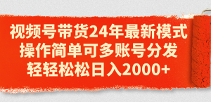 (11281期)视频号带货24年最新模式,操作简单可多账号分发,轻轻松松日入2000+-七量思维
