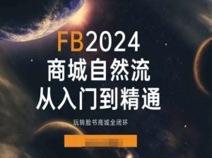 2024Faceboo商城自然流(从入门到精通),玩转脸书商城全闭环-七量思维