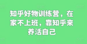 知乎好物训练营,在家不上班,靠知乎来养活自己-七量思维