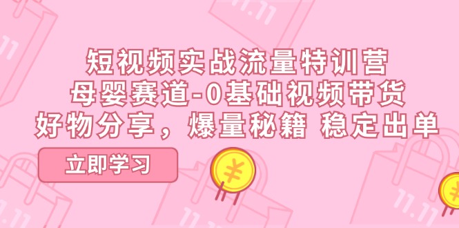 （11373期）短视频实战流量特训营，母婴赛道-0基础带货，好物分享，爆量秘籍 稳定出单-七量思维