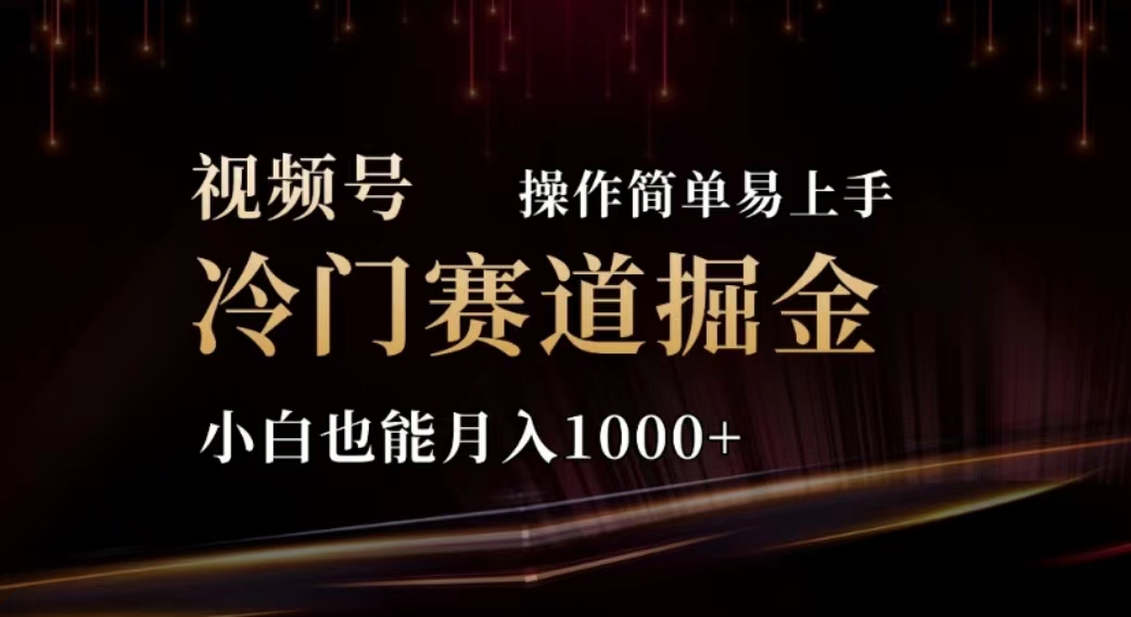 （11378期）2024视频号冷门赛道掘金，操作简单轻松上手，小白也能月入1000+-七量思维