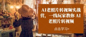 (11477期)AI老照片转视频实操训练营,一线玩家教你AI老照片转视频-七量思维