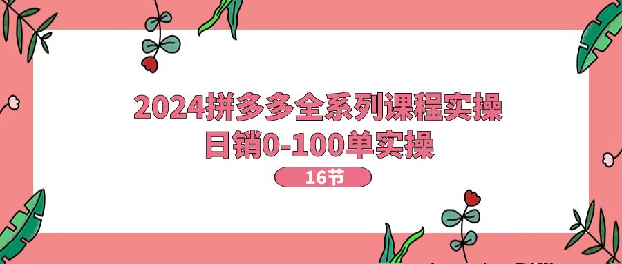 （11222期）2024拼多多全系列课程实操，日销0-100单实操【16节课】-七量思维