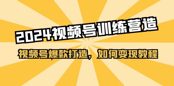 （11135期）2024视频号训练营，视频号爆款打造，如何变现教程（20节课）-七量思维