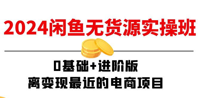 2024闲鱼无货源实操班：0基础+进阶版，离变现最近的电商项目（15节）-七量思维