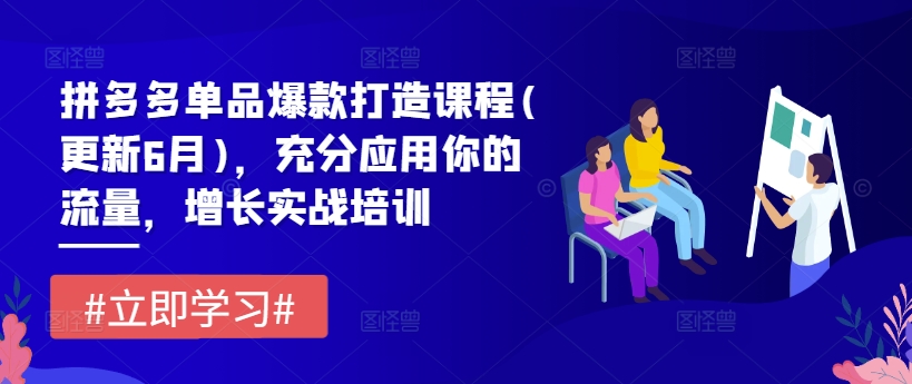 拼多多单品爆款打造课程(更新6月)，充分应用你的流量，增长实战培训-七量思维