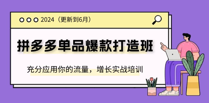 （11556期）2024拼多多-单品爆款打造班(更新6月)，充分应用你的流量，增长实战培训-七量思维