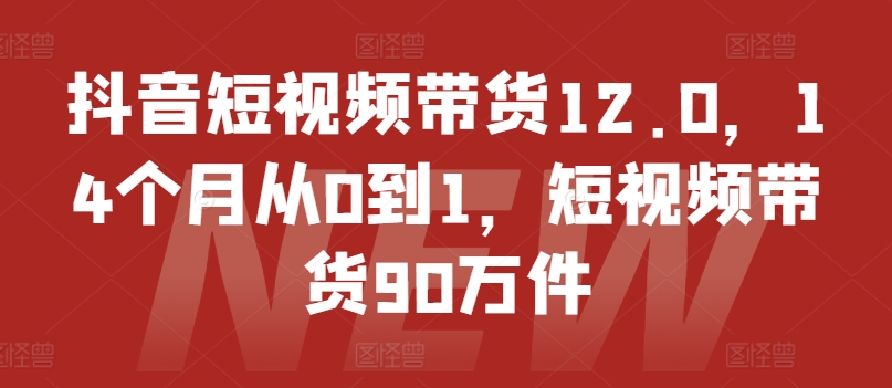 抖音短视频带货12.0，14个月从0到1，短视频带货90万件-七量思维