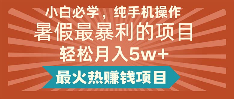 （11583期）小白必学，纯手机操作，暑假最暴利的项目轻松月入5w+最火热赚钱项目-七量思维