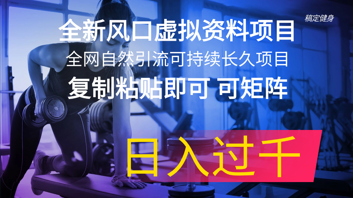 （11587期）全新风口虚拟资料项目 全网自然引流可持续长久项目 复制粘贴即可可矩阵…-七量思维