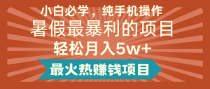 2024暑假最赚钱的项目,简单无脑操作,每单利润最少500+,轻松月入5万+-七量思维