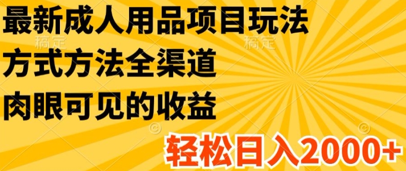 最新成人用品项目玩法，方式方法全渠道，轻松日入2K+-七量思维