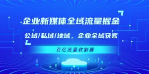 （11666期）企业 新媒体 全域流量掘金：公域/私域/地域 企业全域获客 百亿流量 收割器-七量思维