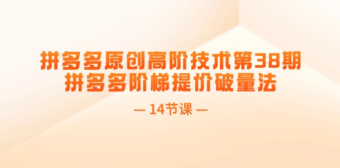 （11704期）拼多多原创高阶技术第38期，拼多多阶梯提价破量法（14节课）-七量思维